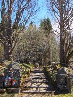 An der Stelle vorbei, an der in früheren Zeiten die Kirche von Fürstenhut stand, führt die Wanderung am 27. Mai. (Foto: Sandra Schrönghammer/Nationalpark Bayerischer Wald)