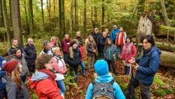 Bei regelmäßigen Fortbildungen, wie hier mit dem Nationalpark-Mykologen Claus Bässler, frischen die Waldführer ihr Wissen über die wilde Natur auf. (Foto: Thomas Michler/Nationalpark Bayerischer Wald)