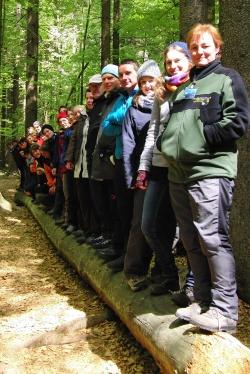 Schön aufgereiht: die neuen Waldführer auf totem Holz 
Foto: Veronika Müller