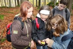 Neugierig und mit großer Spannung blicken die Schülerinnen der Grundschule Haslach/Oberösterreich auf das GPS-Gerät um zu erfahren, welche neuen Daten es auf der Suche nach dem „Schatz“ anzeigt