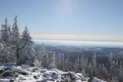 Zauberhafter Winterwald im Nationalpark Bayerischer Wald