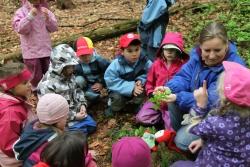 Die Kindergartenkinder zeigen Nationalparkmitarbeiterin Nicole Graf, was sie alles auf dem Waldboden gefunden haben. Mit dabei ist auch immer „Willi Waldwichtel“.