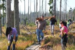 Die Jugendlichen aus dem Bayerischen Wald und aus Venezuela halfen im Rahmen eines Jugendaustausches tatkräftig mit, den morschen Steg durch das Zwieselter Filz im Nationalpark Bayerischer Wald zu erneuern