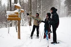 Wer tief verschneite Landschaften liebt, sollte sich die geführten Schneeschuhtouren im Nationalpark nicht entgehen lassen.