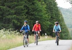 Mit dem Rad auf Tour durch den Woid – der Nationalpark bietet in den kommenden Wochen attraktive geführte Touren. (Foto: NPV Bayerischer Wald)