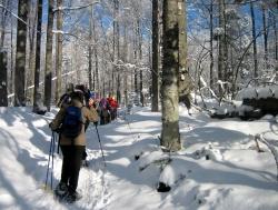 Lust auf das Abenteuer Schneeschuhwanderung? Das neue Winterprogramm bietet zahlreiche kostenlose Regel- und Sondertouren an.