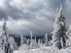 Bis zu 1,5 Meter Schnee liegen in den Hochlagen des Nationalparks. Foto: Lothar Mies