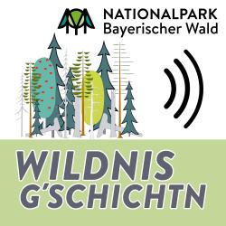 13 Folgen der Podcast-Serie des Nationalparks Bayerischer Wald gibt es inzwischen. Grafik: Nationalpark Bayerischer Wald