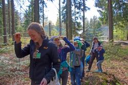 Mit verschiedenen Aktionen können Kinder im Rahmen des Ferienprogramms den Wald entdecken, wie zum Beispiel mit einem Spiegelgang (Foto: Malte Blessing / Nationalparkverwaltung Bayerischer Wald).