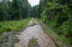Auf einer Länge von 200 Metern wurde der Forstweg, der vom Wistlberg ins Reschbachtal hinunterführt, abgeschwemmt (Foto: Rainer Simonis / Nationalparkverwaltung Bayerischer Wald).