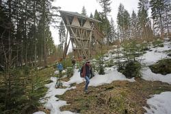 Mit Schülern die wilde Natur des Nationalparks Bayerischer Wald erkunden gehört zum Arbeitsschwerpunkt der künftigen Commerzbank-Umweltpraktikanten. (Foto: Philipp Seyfried)