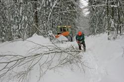 Nationalparkmitarbeiter sind aktuell damit beschäftigt die Winterwanderwege Zug um Zug zu räumen und freizuschneiden. (Foto: Reinhold Weinberger/Nationalpark Bayerischer Wald)
