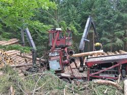 Mit der Entrindungsmaschine können vom Borkenkäfer befallene Stämme komplett geschält werden. (Foto: Franz Baierl/Nationalpark Bayerischer Wald)