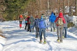 Am Sonntag, 21. Januar, führt Waldführerin Birgit Esker mit Schneeschuhen zum Jährlingsschachten. (Foto: Gregor Wolf / Nationalpark Bayerischer Wald)