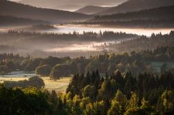 Morgennebel über dem Nationalpark Šumava – Mit seinen stimmungsvollen Bildern lädt Berndt Fischer zu einem faszinierenden Streifzug durch Europas größtes Waldgebiet ein.
